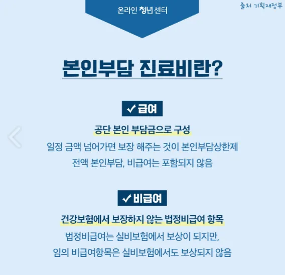 건강보험료 환급제