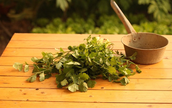 고대 페르시아와 바빌로니아의 꿈 해석을 통한 정신 치료