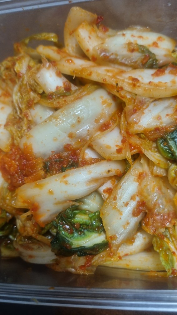 김장김치 소금물 유지 