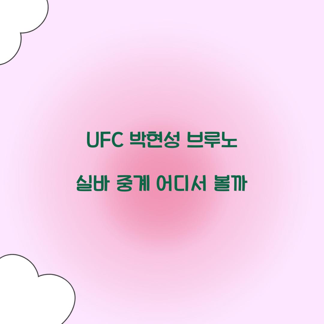 UFC 박현성 브루노 실바 중계