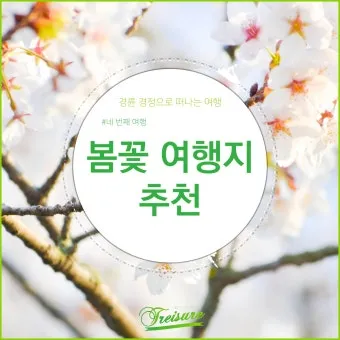 봄꽃 여행지 베스트10 벚꽃 유채 튤립 명소와 걷기 좋은 코스_4