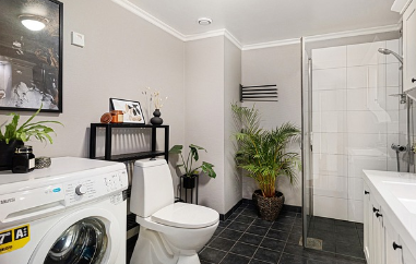 초파리는 습기가 많은 곳에서 잘 번식