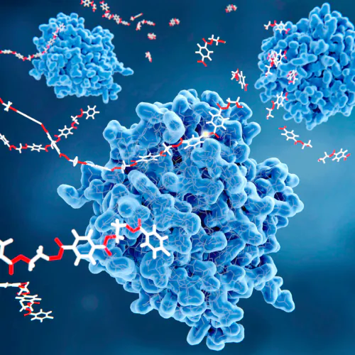 바른곡물효소 효능