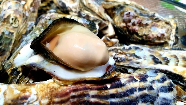 먹음직스럽게-익은-통통한-굴