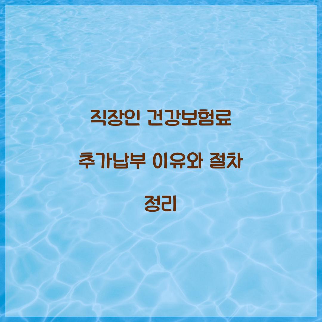 직장인 건강보험료 추가납부