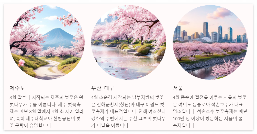 벗꽃