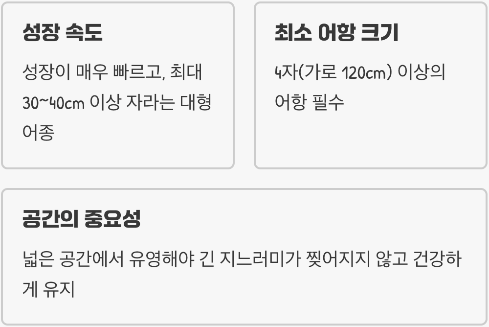 어항의 크기가 곧 삶의 질