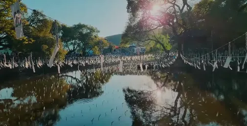 함안낙화놀이축제예약