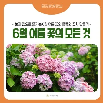 여름꽃 종류 모음 여름 꽃나무 추천 12가지 정리_4