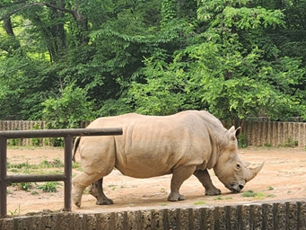 서울대공원 동물원 & 테마파크 과천3