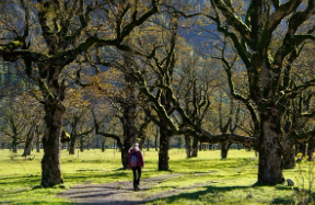 근로자 휴가지원사업 휴가샵 전용 온라인몰