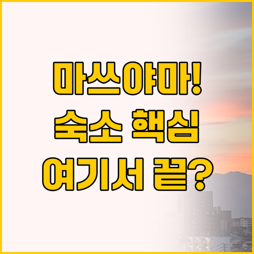 마쓰야마 여행 숙소 고민 끝! REF..