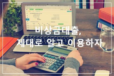 비상금대출