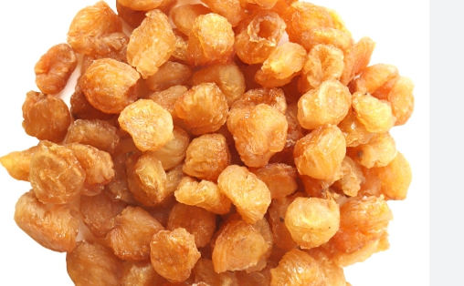 용안육효능 완벽분석