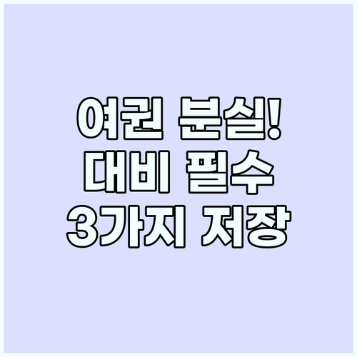 여권 분실 소매치기 대비 해외 여행 ..
