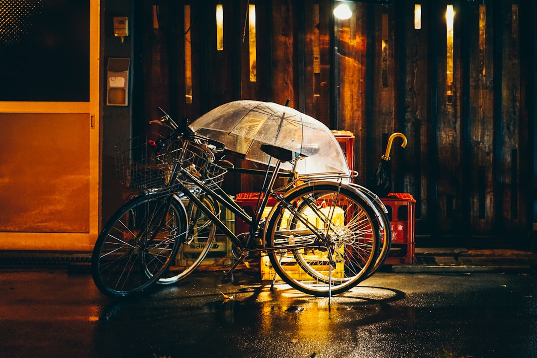 Umbrella
