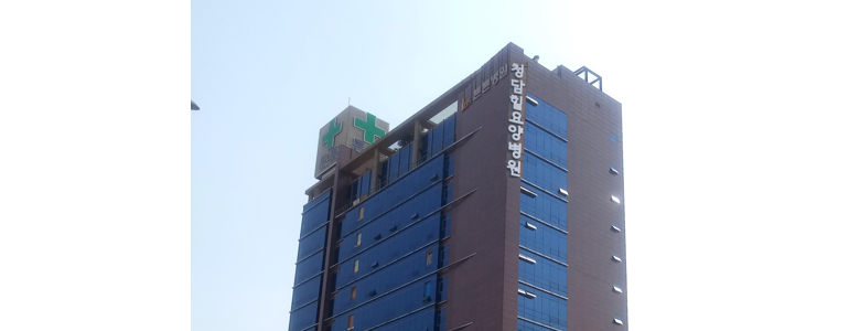 서울 강남구 요양병원