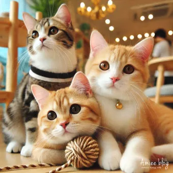 고양이 발정 기간 증상 대처_9