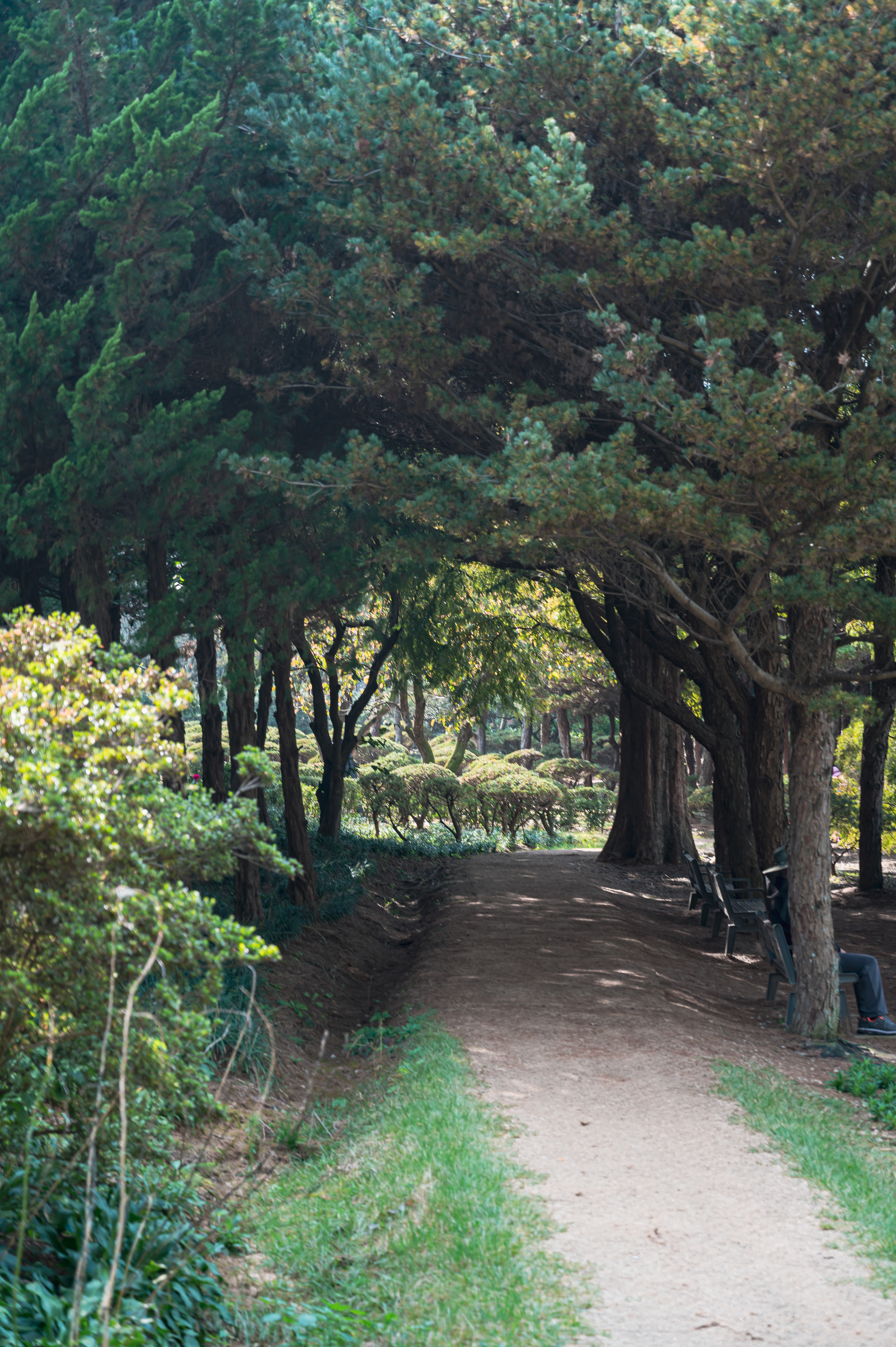 ์๊ฐํ ์ ์