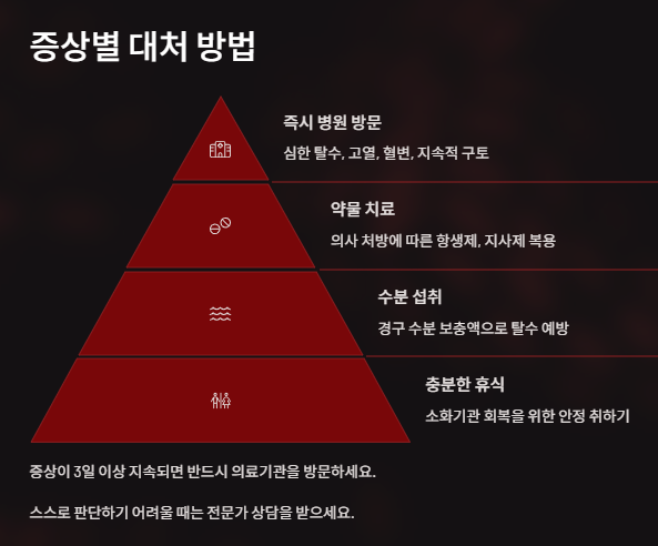 식중독& 장염 차이점, 원인, 자가진단, 증상완화, 예방법