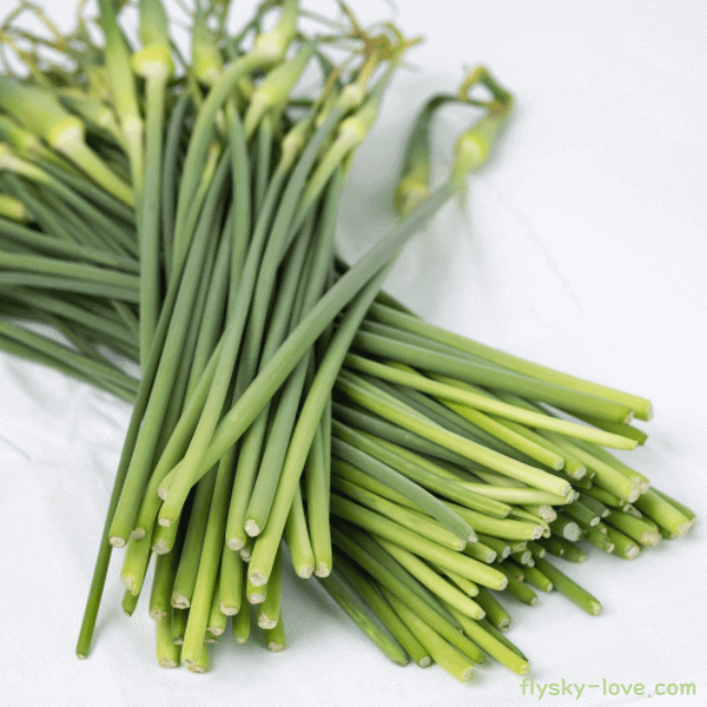 알싸한 맛이 일품인 마늘종