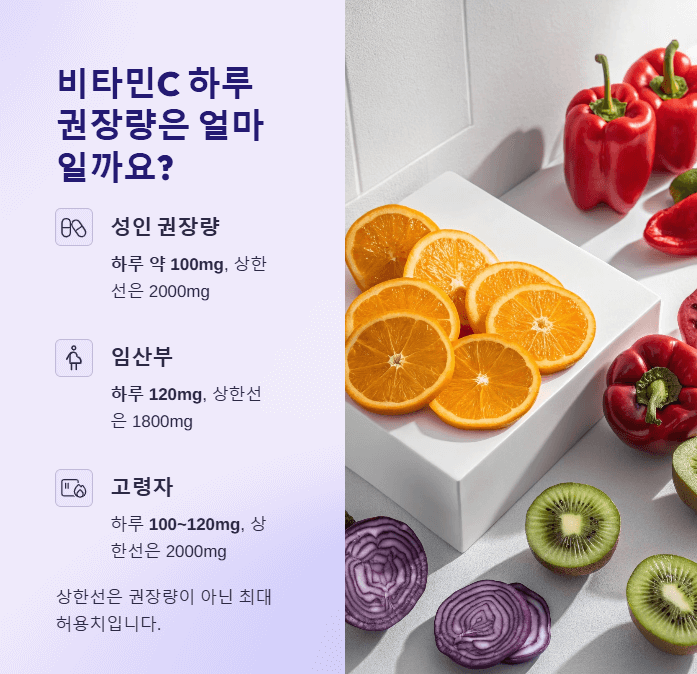 비타민C 하루 권장량
