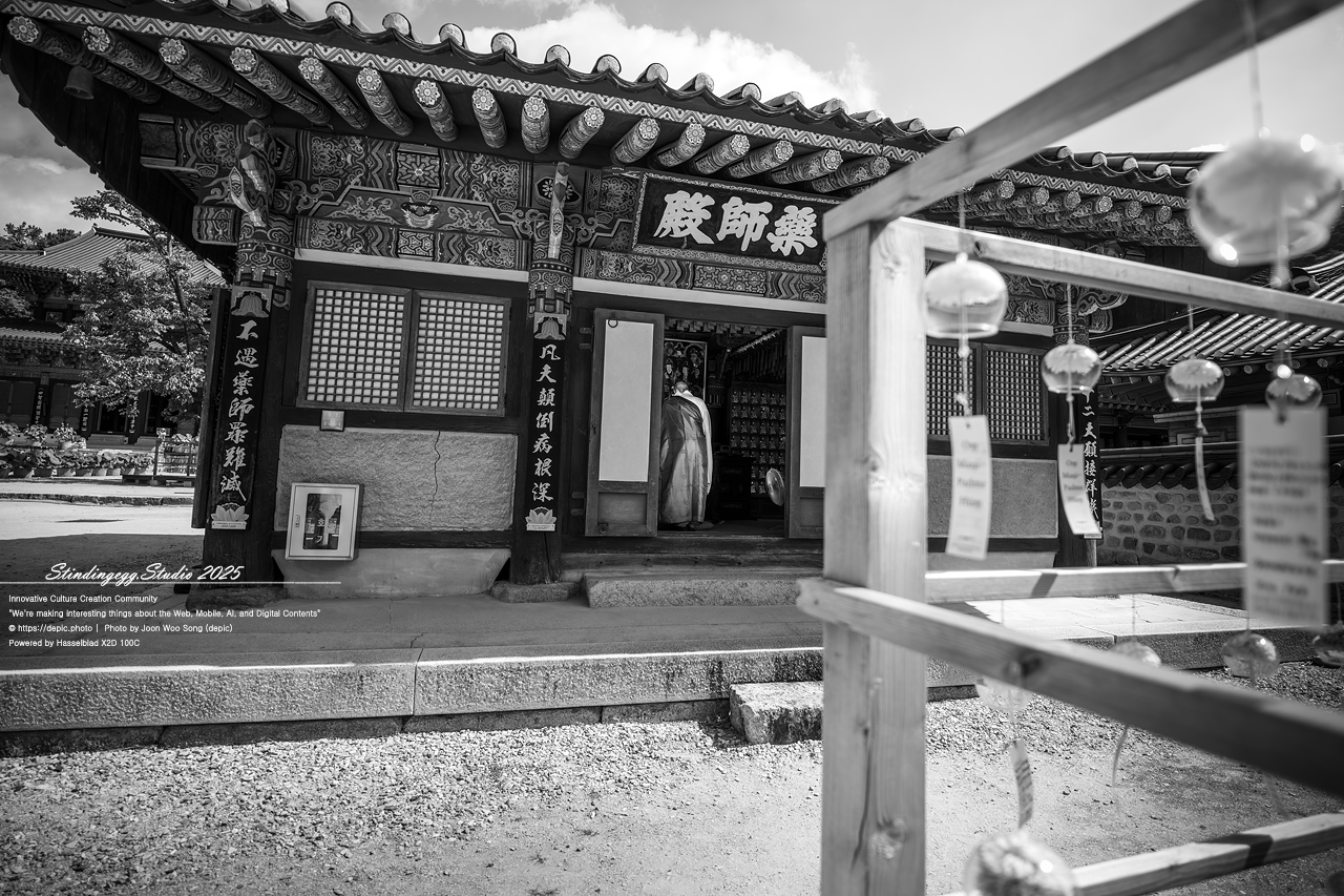 #보은 #법주사 #속리산 #스님 #승려 #불교 #사찰