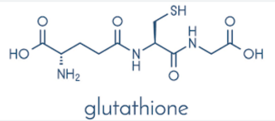 글루타치온 효능