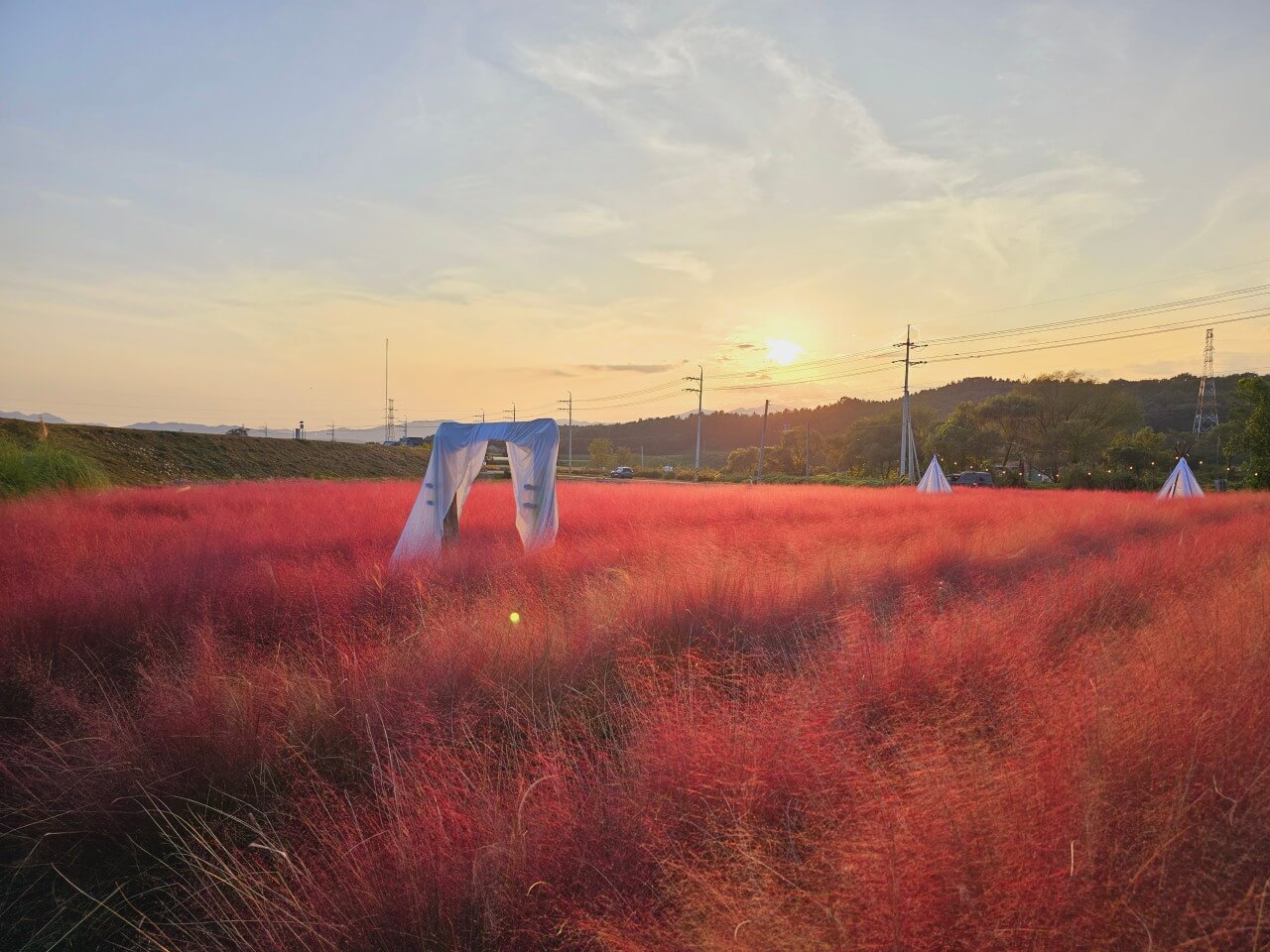 오늘N 대한민국 보물정원 강원 춘천 유기농 카페 오늘N 2503회