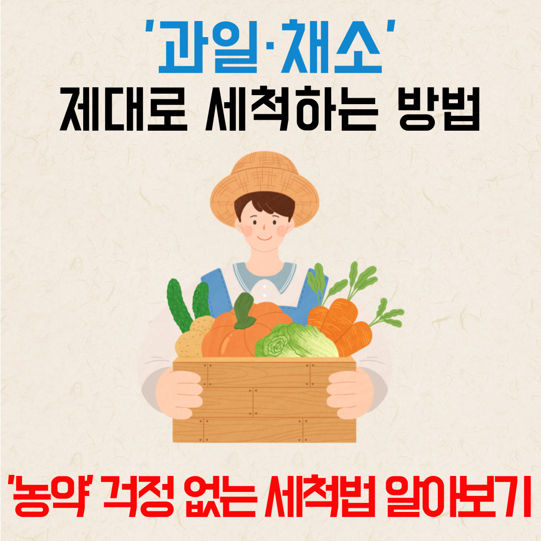 과일채소세척법