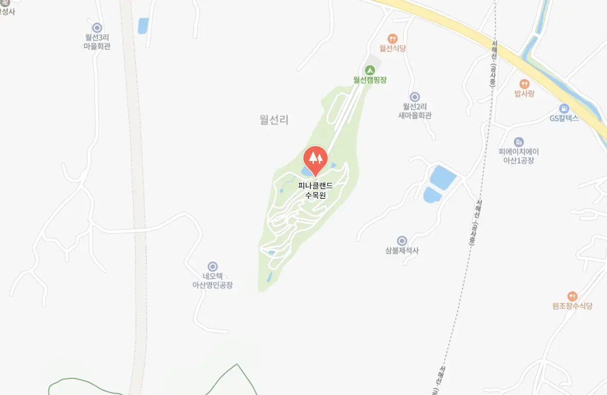 피나클랜드 오천만송이 국화축제