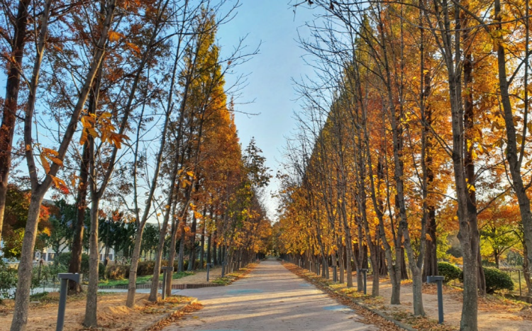 경북천년숲정원