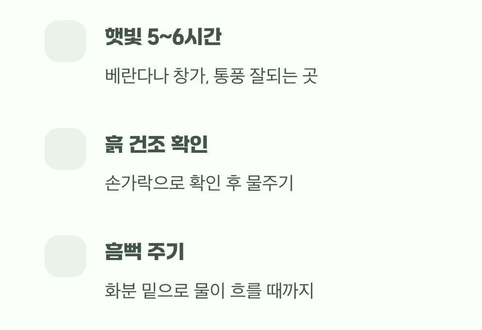 세 번째 과제, 햇볕은 듬뿍, 물은 말랐을 때만