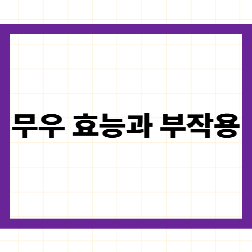 무우 효능과 부작용 —
디아스타제·이소티오시아네이트의 과학적 근거와
주의사항 완벽 정리