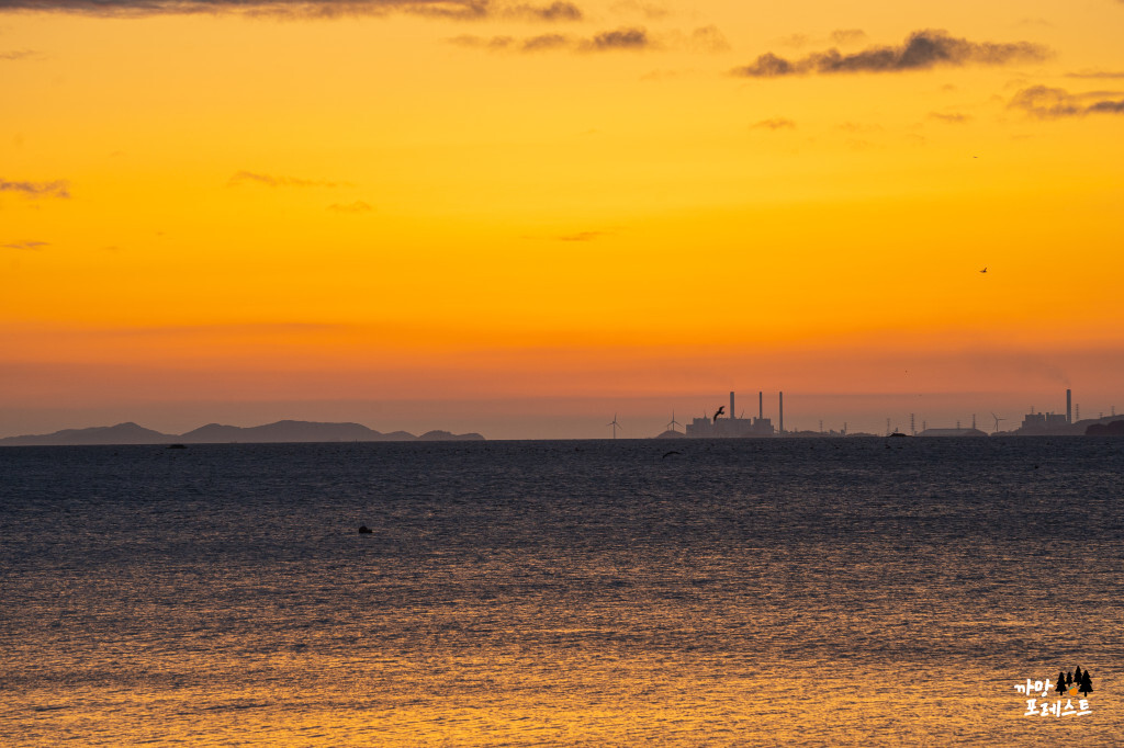 궁평항 일몰