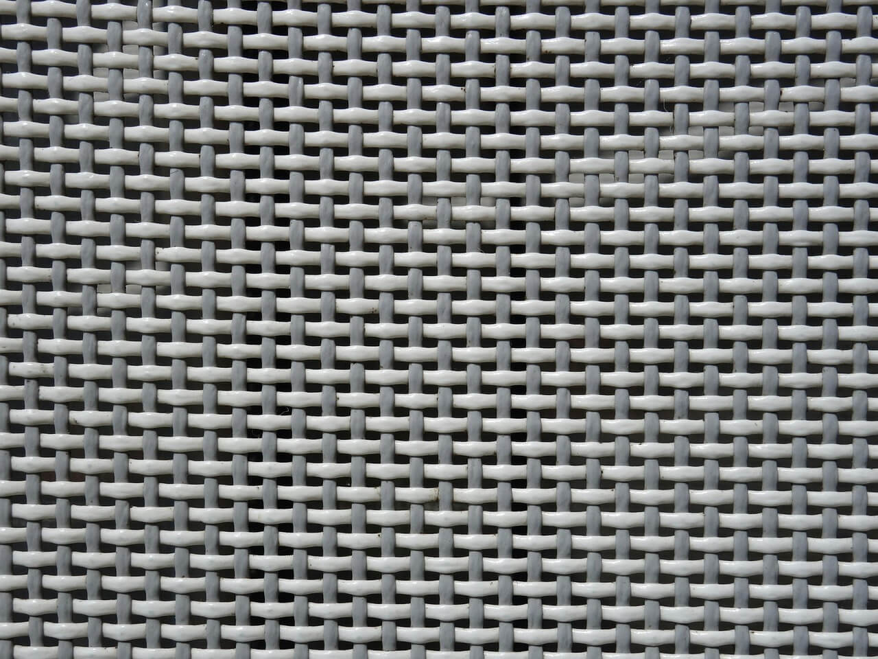 해양 보호 단체의 관점에서 본 미세 플라스틱 해결책