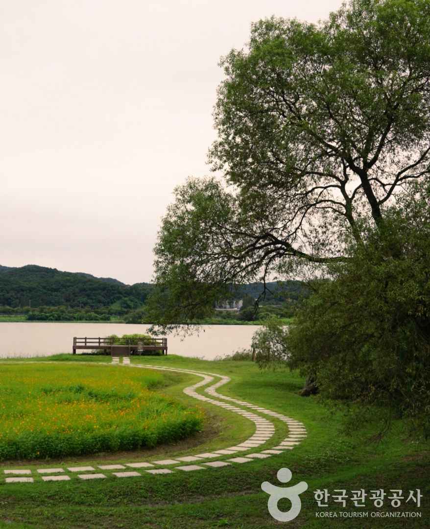 남양주 물의정원 피크닉