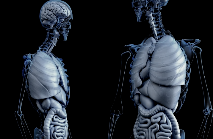 허리건강을 위해 강화해야하는 근육 복근