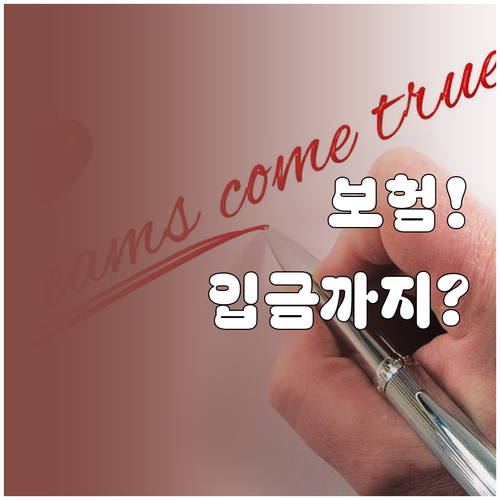 고양이 보험 청구 서류 준비부터 입금..
