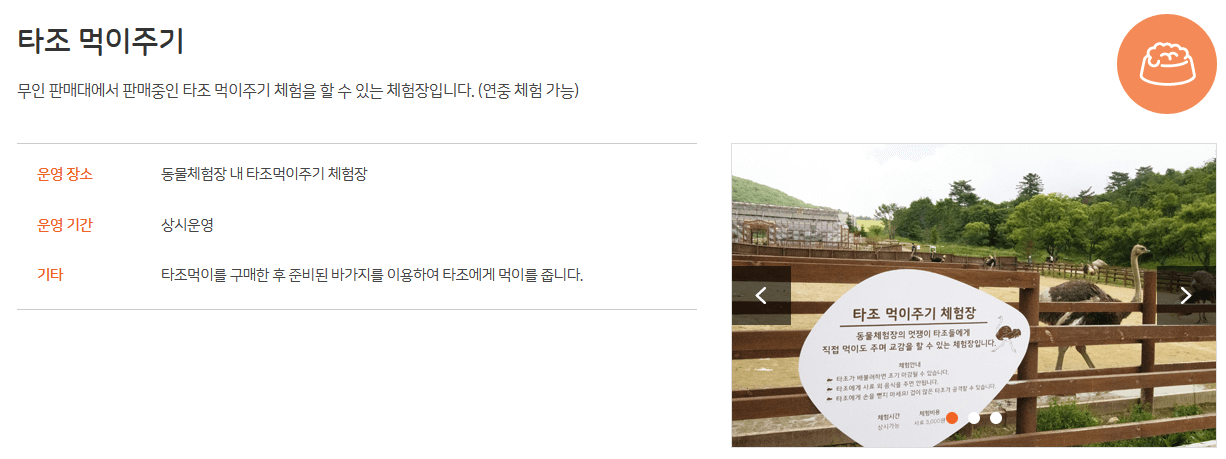 대관령 삼양목장