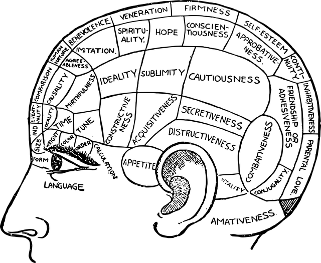역행자