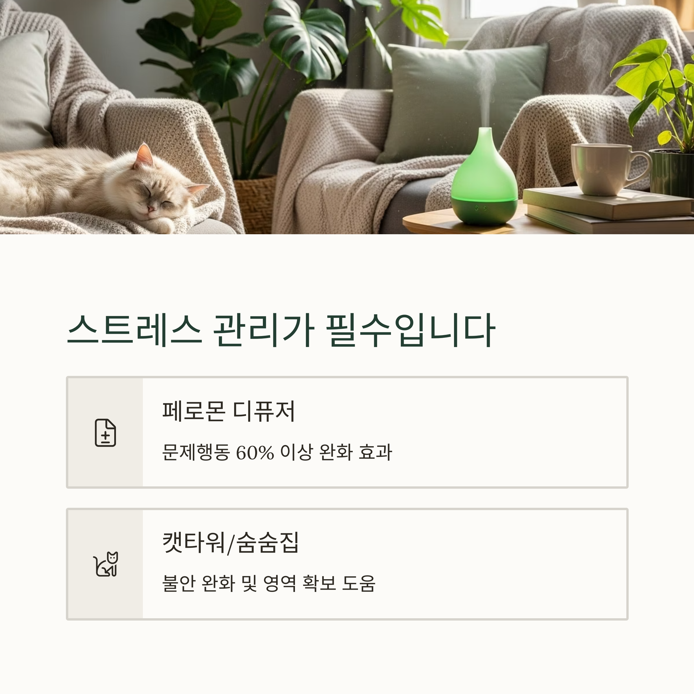 스트레스 관리가 필수입니다