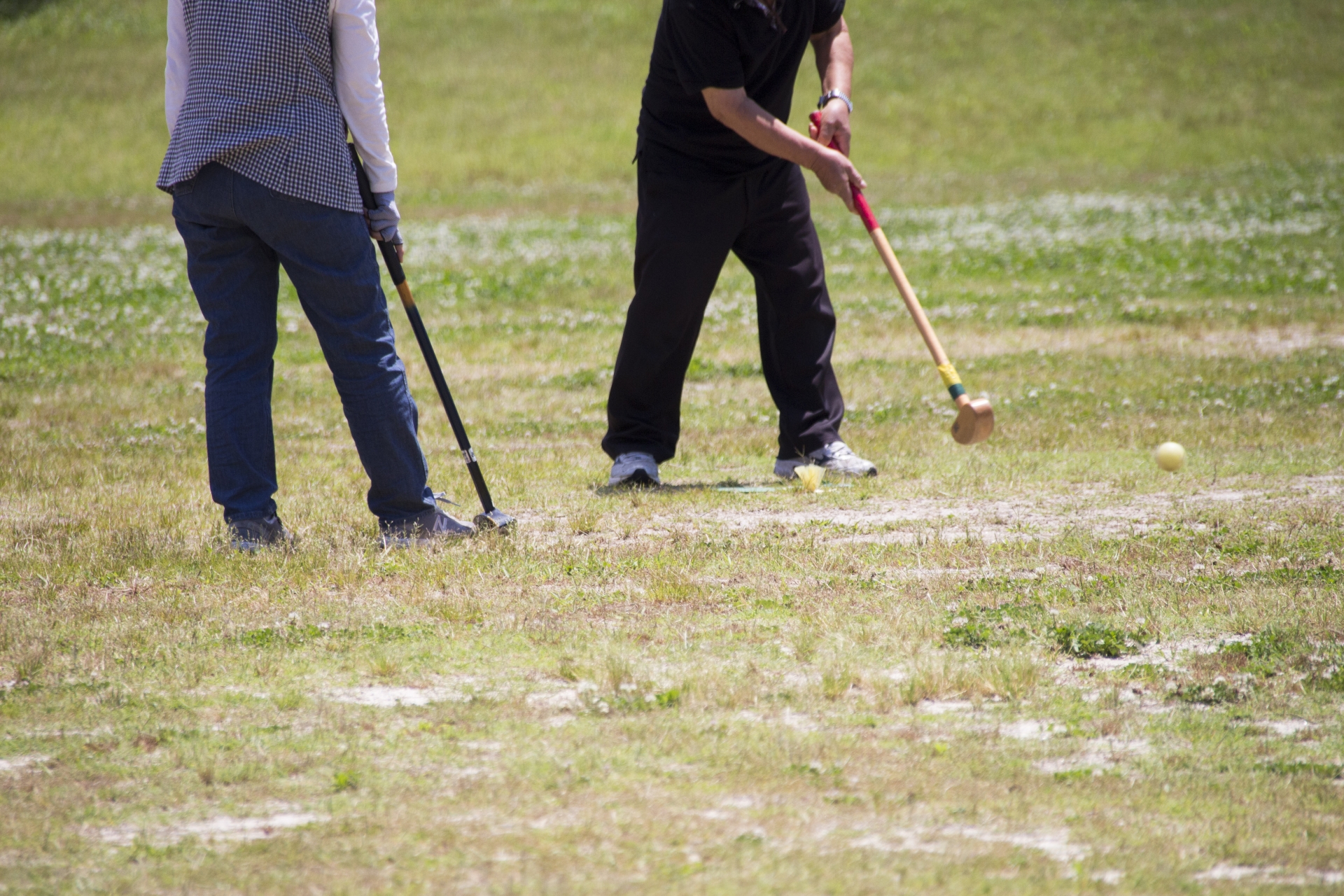 성공적인 노인 일자리 프로젝트! 실제 사례 & 효과 분석