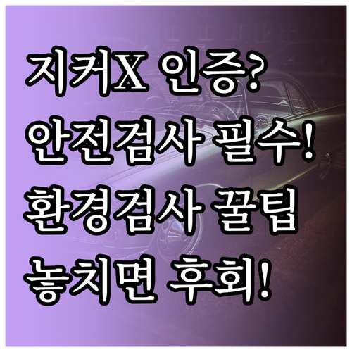 지커 X 수입 차량 안전 인증과 환경..