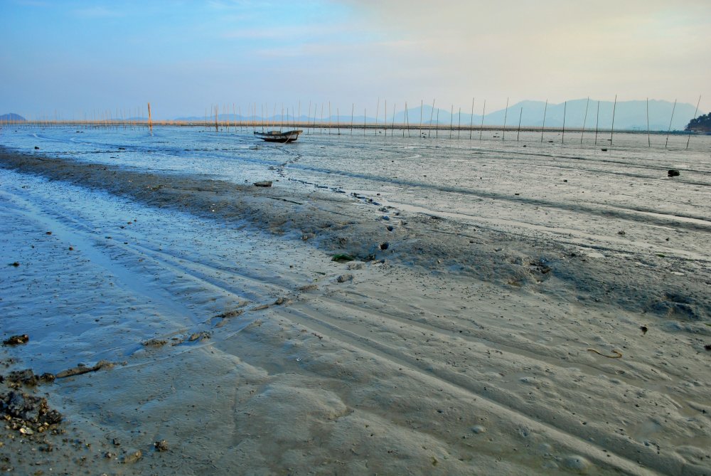 장흥군 대덕읍 옹암마을