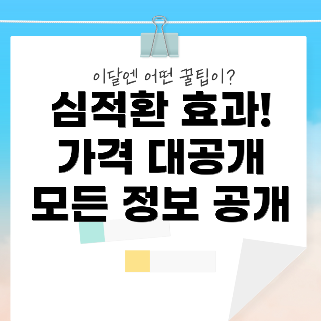 심적환