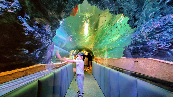 광교 아쿠아플라넷 다녀온 후기 사진 9