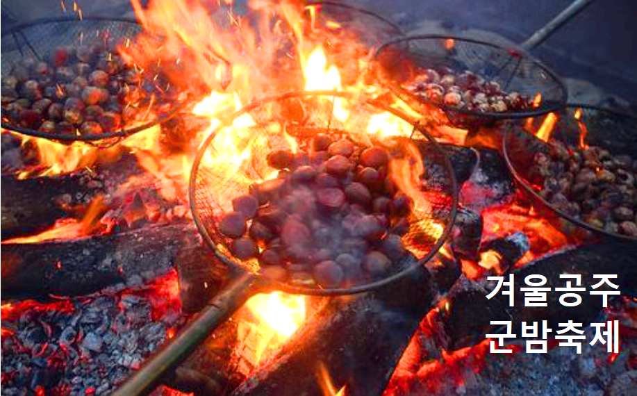 겨울공주 군밤축제