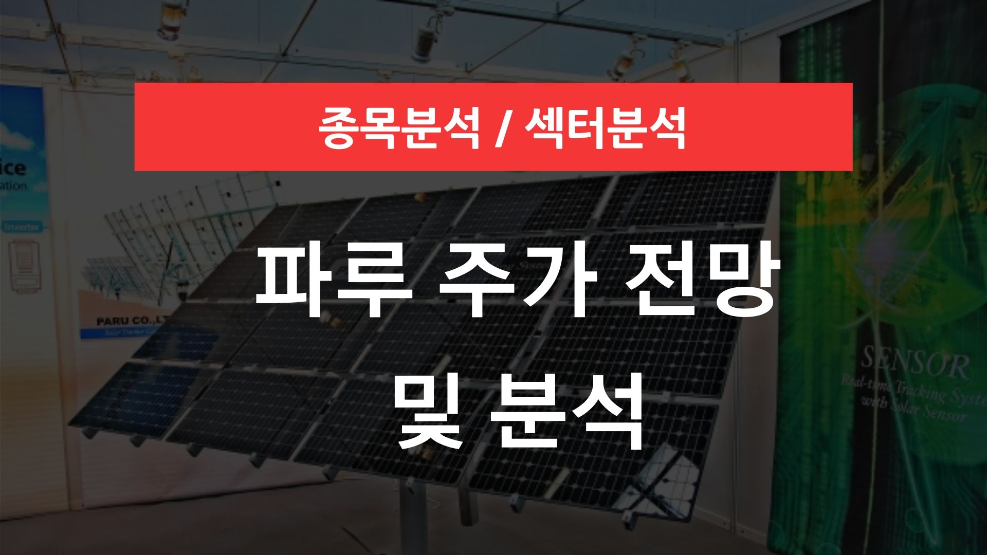 파루 주가 전망