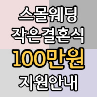 작은결혼식 진행시 지원금을 지급한다는 정보성 글의 썸네일입니다.